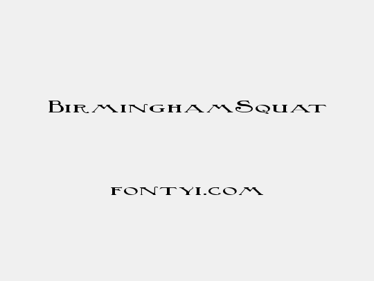 BirminghamSquat