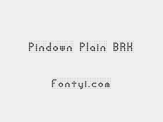 Pindown Plain BRK