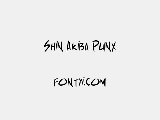 Shin Akiba Punx