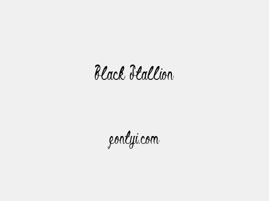 Black Stallion