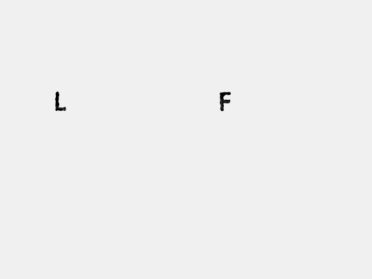 Lost in the Fontrest