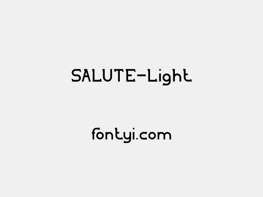 SALUTE-Light