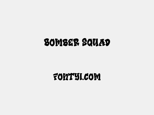 Bomber Squad