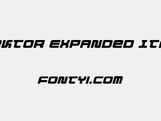 Direktor Expanded Italic