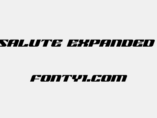 21 Gun Salute Expanded Italic