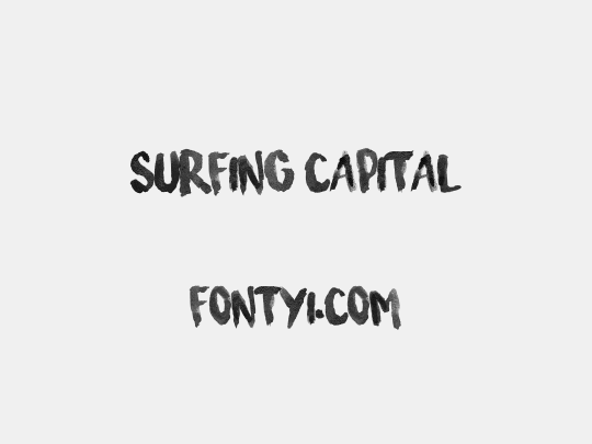 Surfing Capital