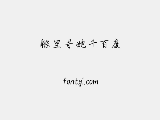 粽里寻她千百度