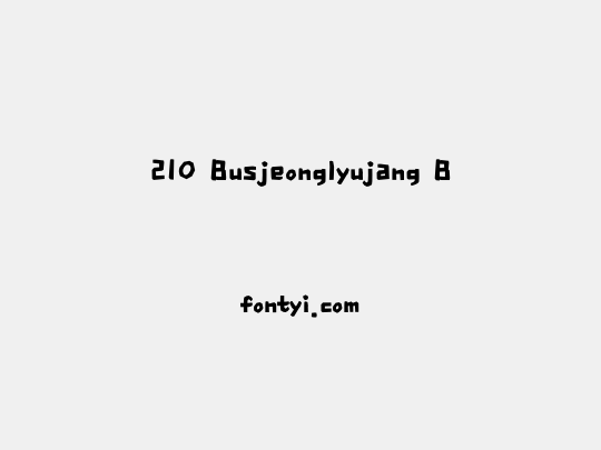 210 Busjeonglyujang B