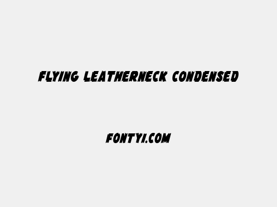 Flying Leatherneck Condensed