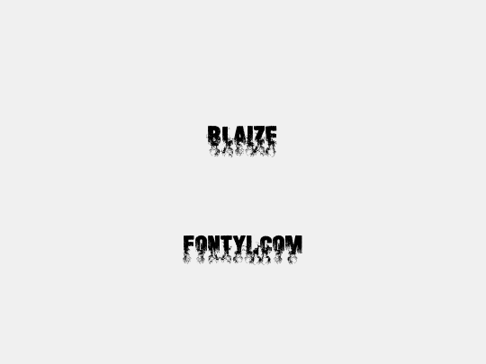 Blaize