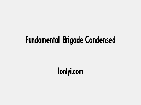 Fundamental  Brigade Condensed