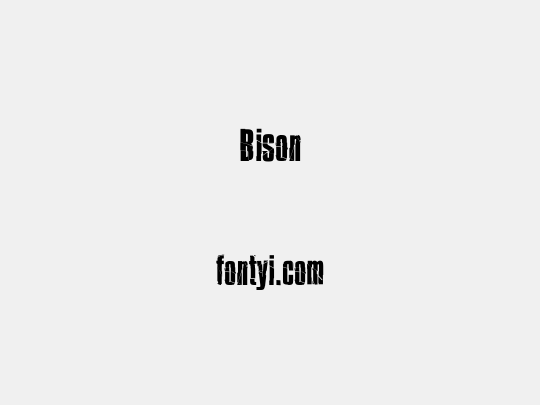 Bison