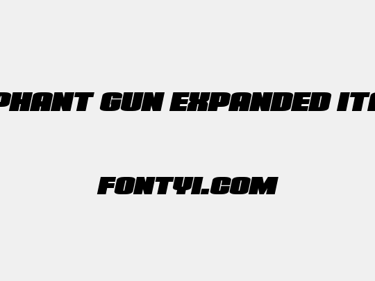 Elephant Gun Expanded Italic