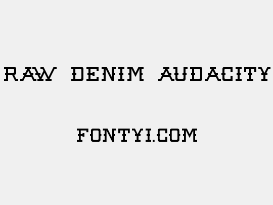 Raw Denim Audacity