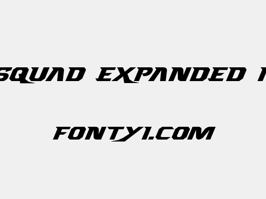 Borgsquad Expanded Italic