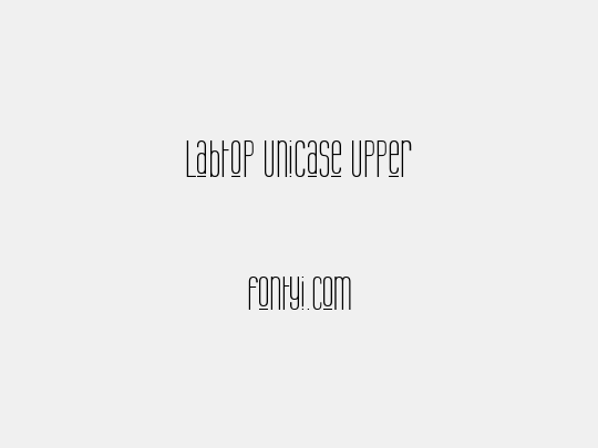 Labtop Unicase Upper