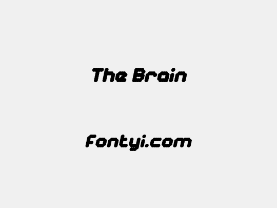 The Brain