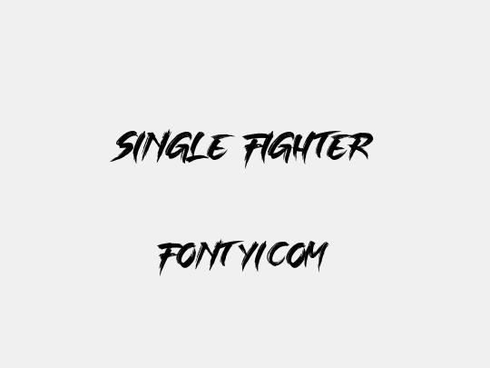 SINGLE FIGHTER