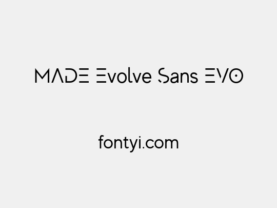 MADE Evolve Sans EVO