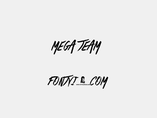 Mega Team 