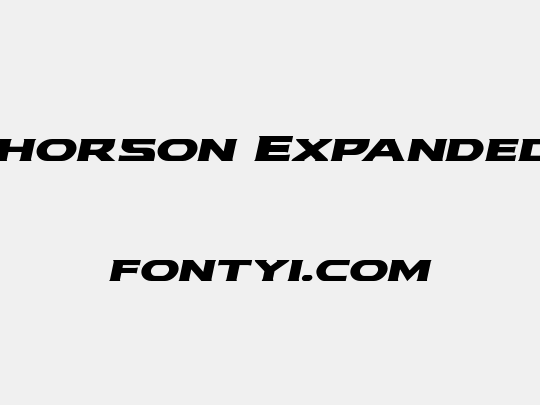 Modi Thorson Expanded Italic