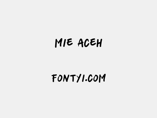 mie aceh