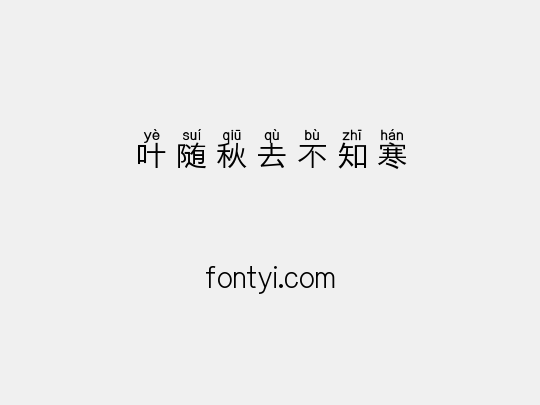 叶随秋去不知寒