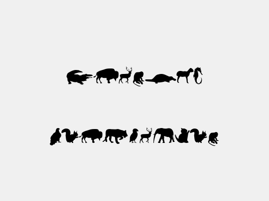 Animals