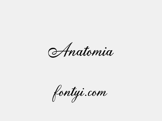 Anatomia