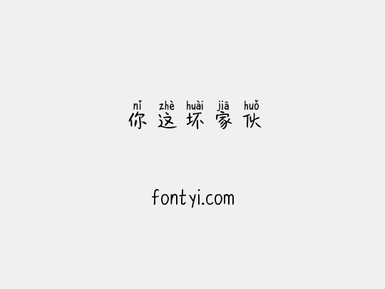 你这坏家伙