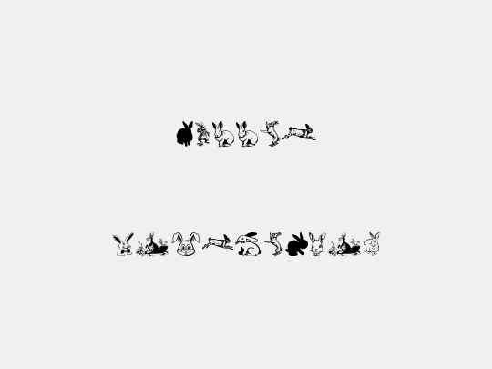 Rabbit