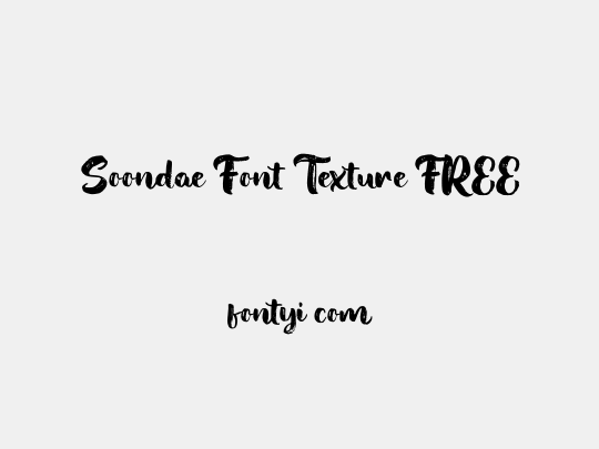 Soondae Font Texture FREE
