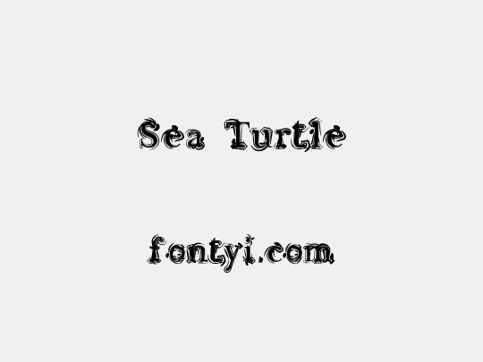 Sea Turtle