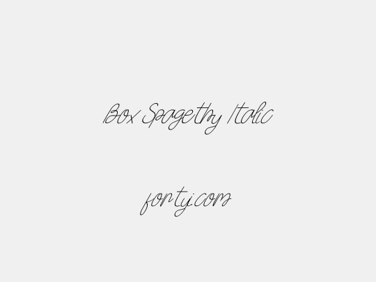 Box Spagethy Italic