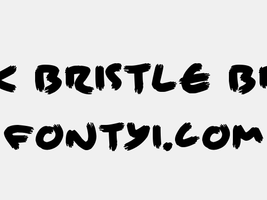 Brisk Bristle Brush