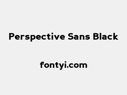 Perspective Sans Black
