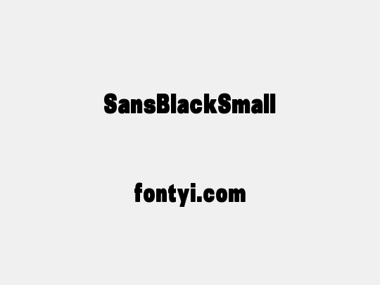 SansBlackSmall