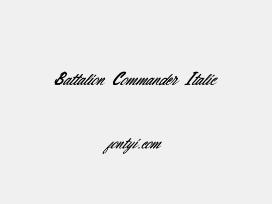 Battalion Commander Italic