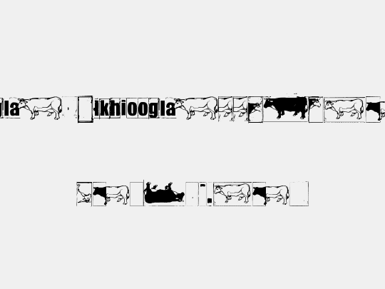 IKHIOOGLAcow