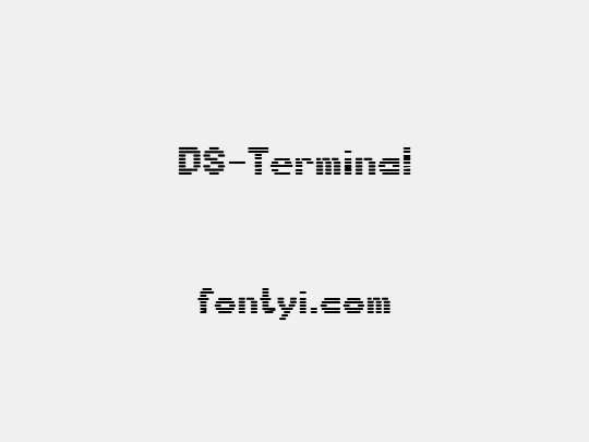DS-Terminal
