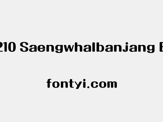210 Saengwhalbanjang B