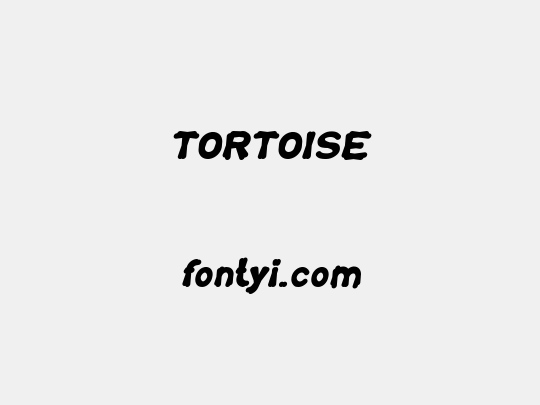 TORTOISE