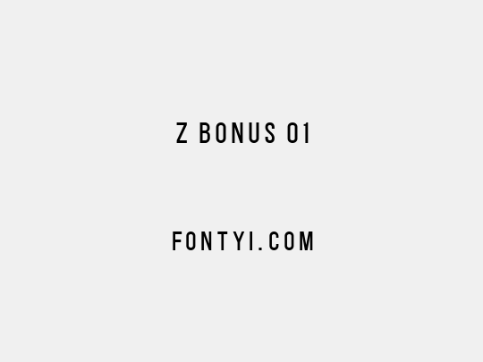 Z BONUS 01