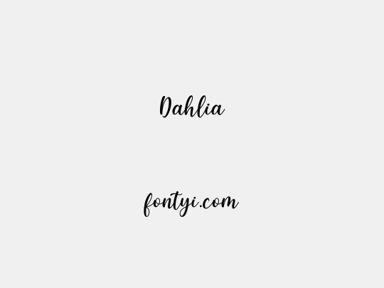Dahlia