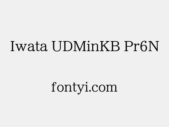 Iwata UDMinKB Pr6N