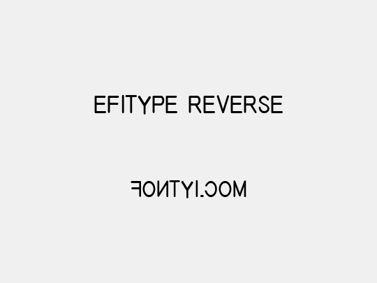 EFITYPE REVERSE 