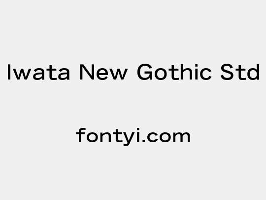 Iwata New Gothic Std