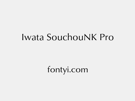 Iwata SouchouNK Pro
