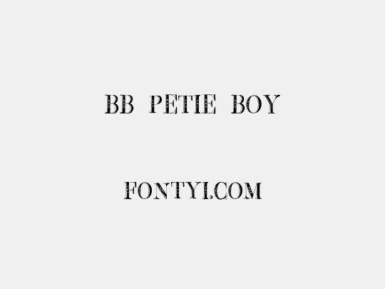 BB Petie Boy