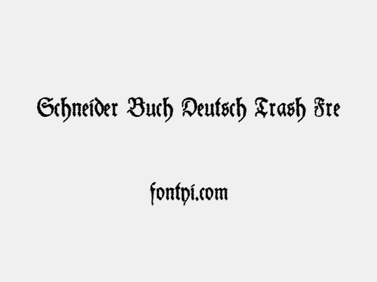 Schneider Buch Deutsch Trash Free